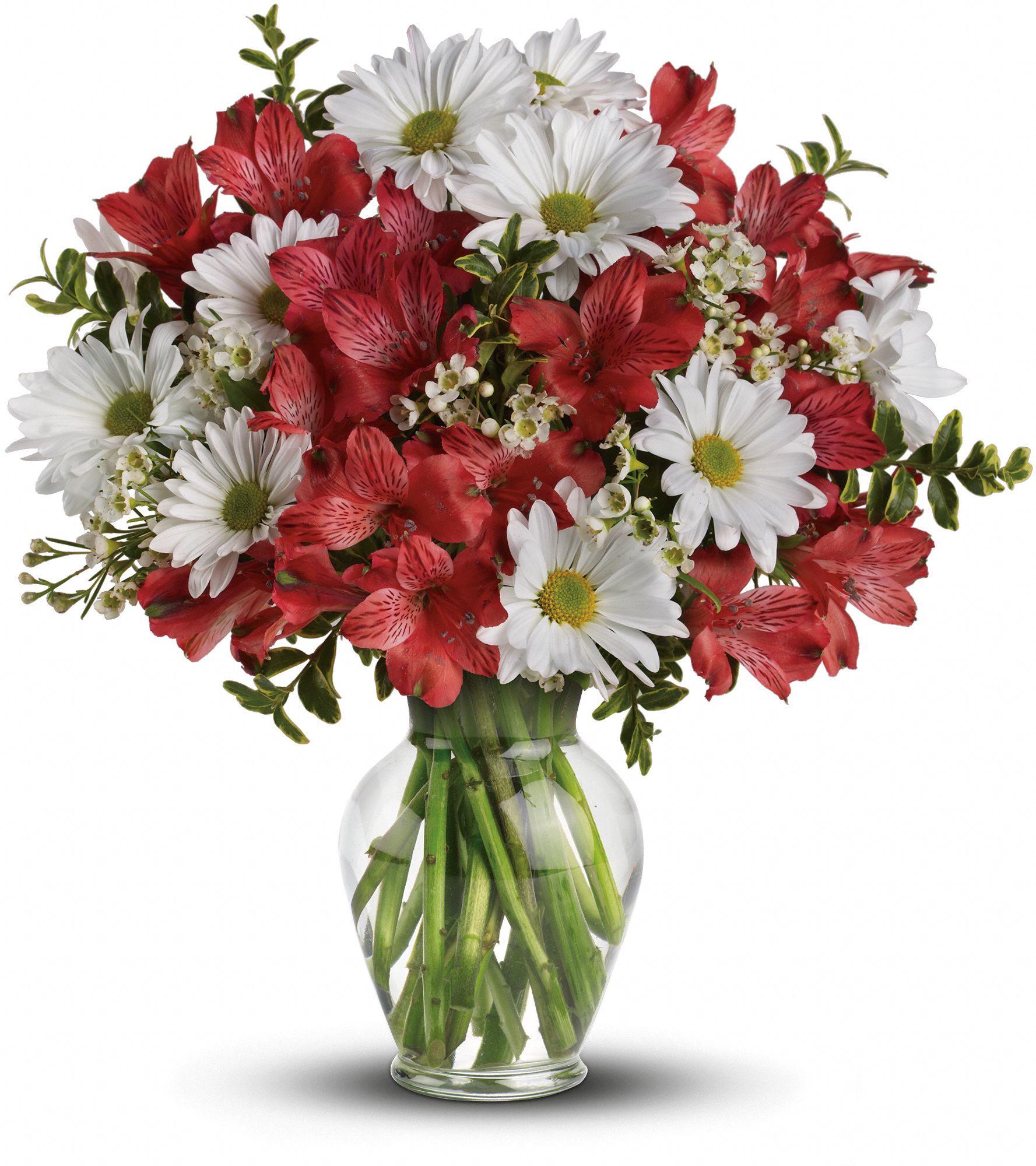 Teleflora’s Pink Notion Vase Photoverse