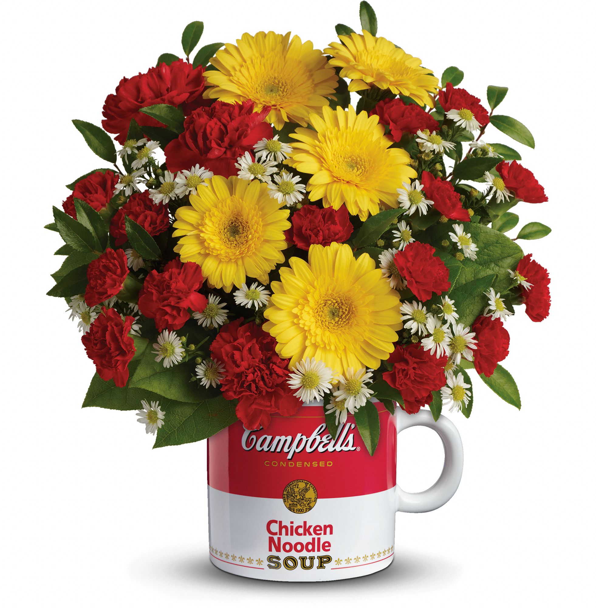 Campbell's Healthy Wishes Bouquet by Teleflora in Los Angeles CA