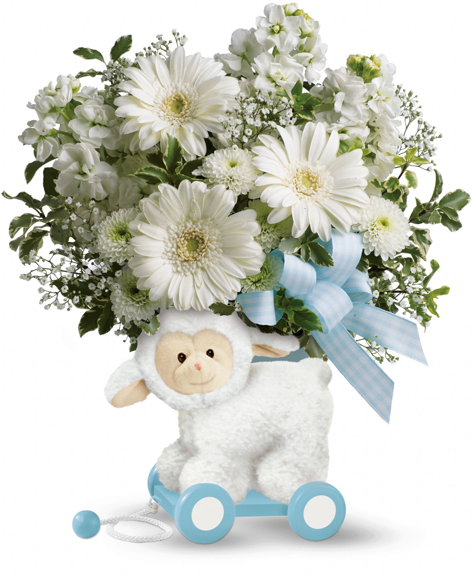Teleflora’s Sweet Little Lamb Baby Blue Jabberfly