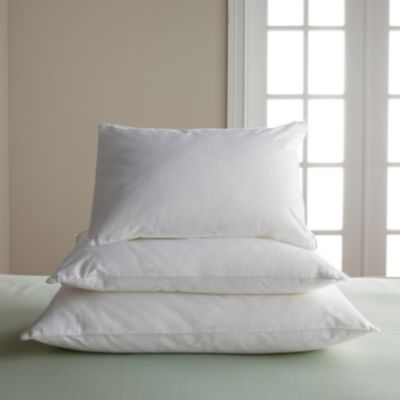 + Rollover to zoom View Fullscreen