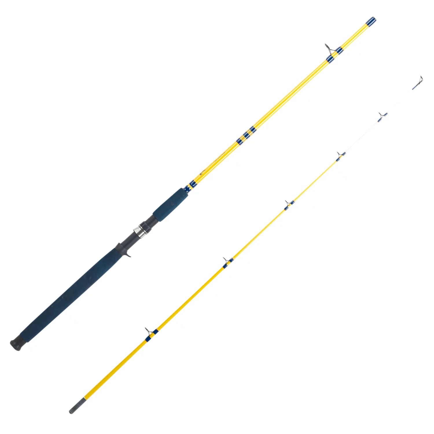 Eagle Claw CatClaw 8' Freshwater Catfishing Casting Rod Academy