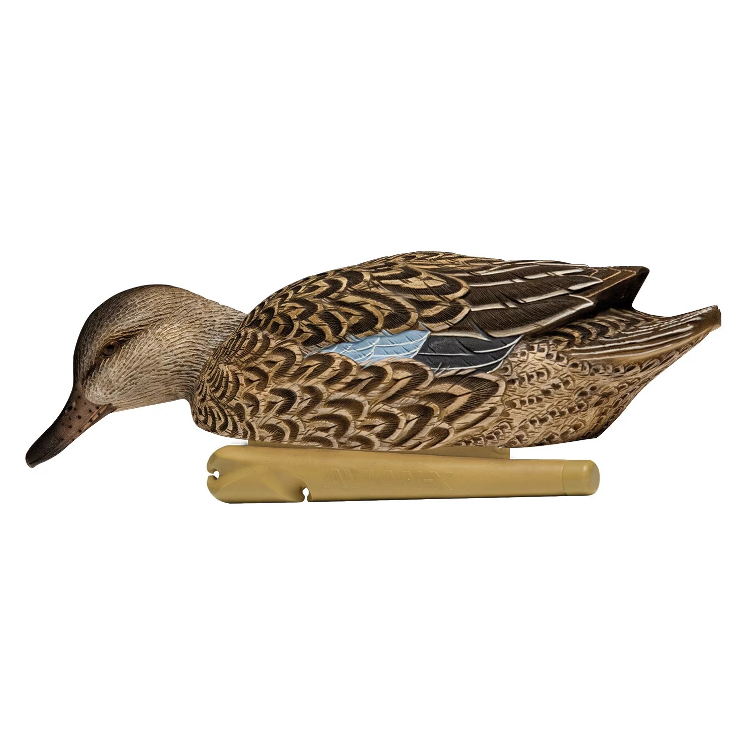 AvianX Topflight BlueWinged Teal Decoys Set Academy