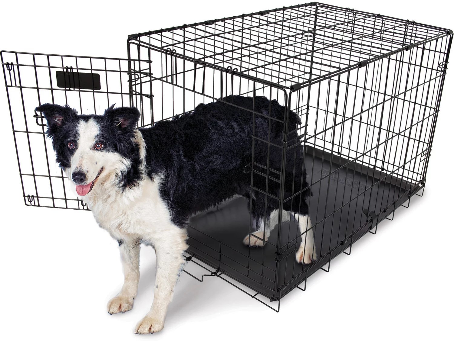 Aspen Pet 30 in Home Training Wire Kennel Academy