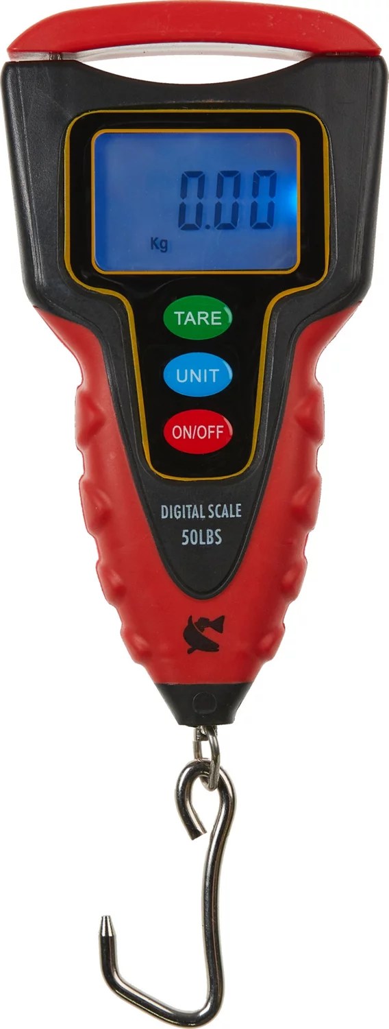 CCA 50 lb Digital Scale Academy