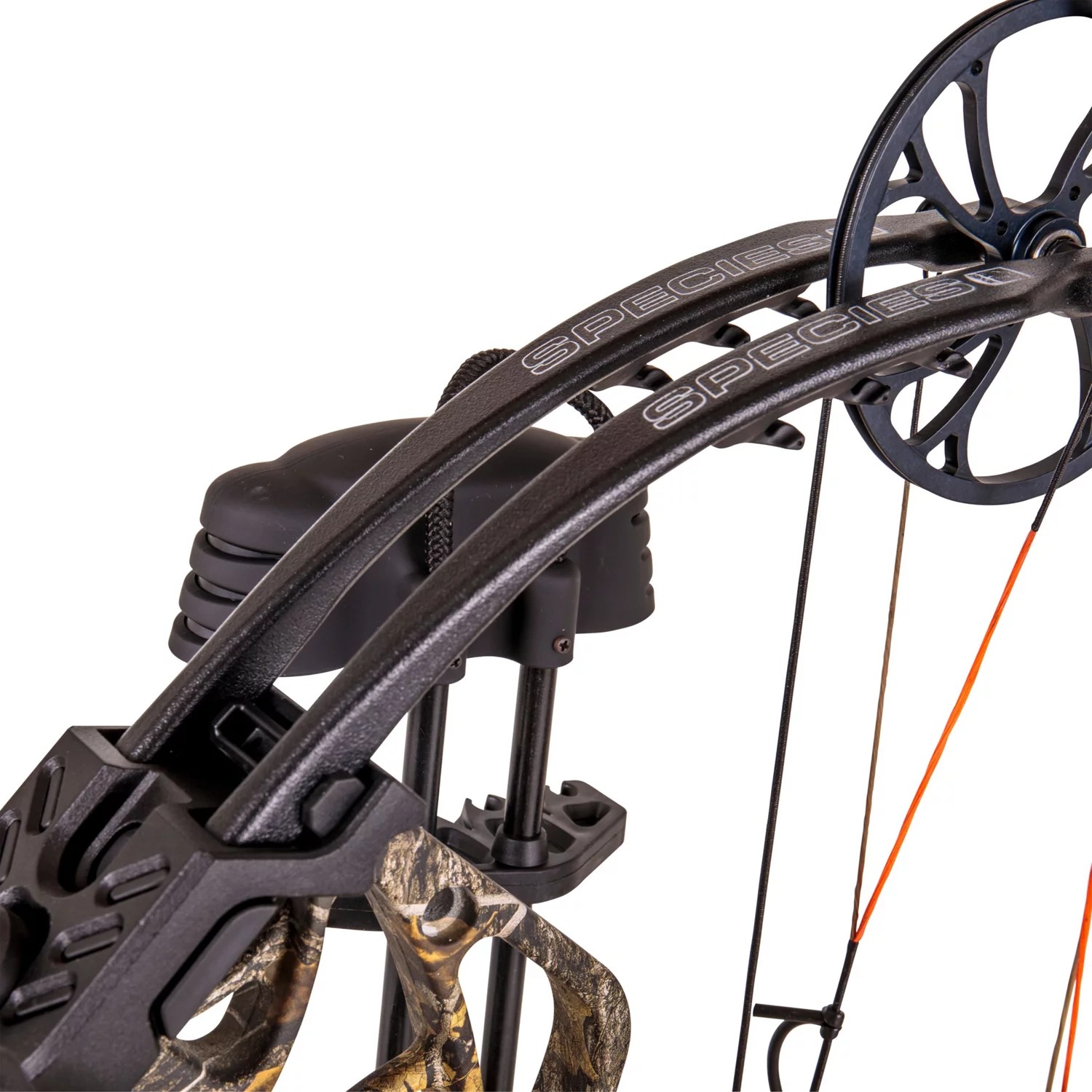 Bear Archery Species Compound Bow with Hunt Ready Package Academy
