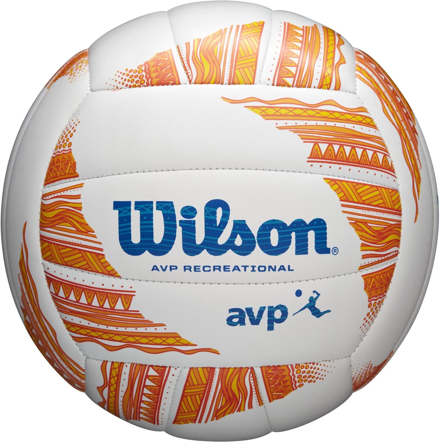 Wilson AVP Modern Volleyball Academy