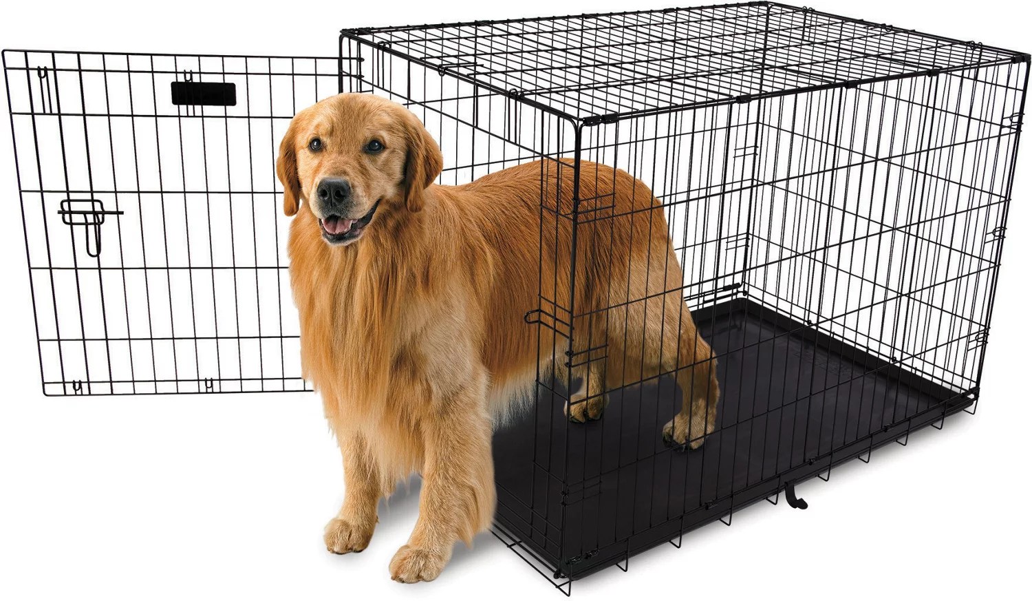 Aspen Pet 42 in Home Training Wire Kennel Academy