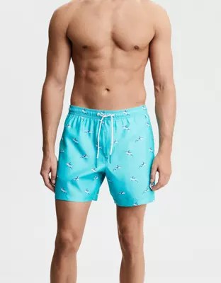 Eagle Gallery american eagle swimwear mens