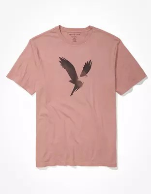 AE Super Soft Eagle Graphic TShirt