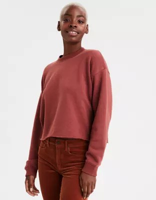 AE Fleece Cropped Crew Neck Sweatshirt