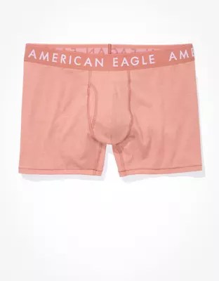 AEO 4.5" Classic Boxer Brief