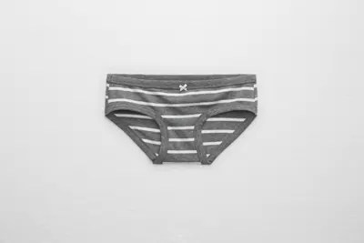 Aerie Cotton Boybrief Underwear