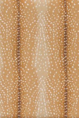 Stark Carpet Antelope Carpet Vidalondon