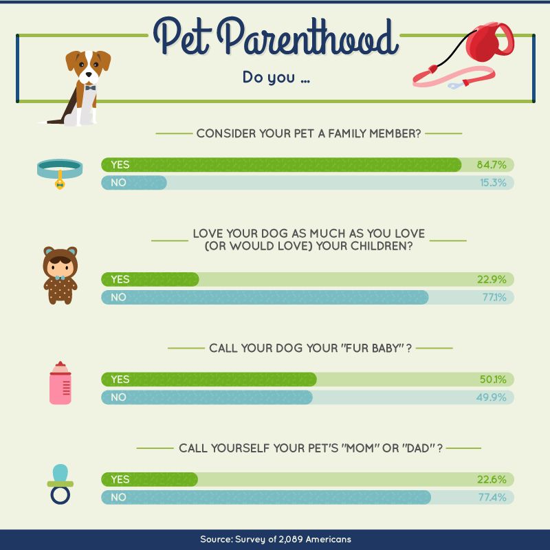 Canine Confessions Survey of 2,000+ Dog Owners