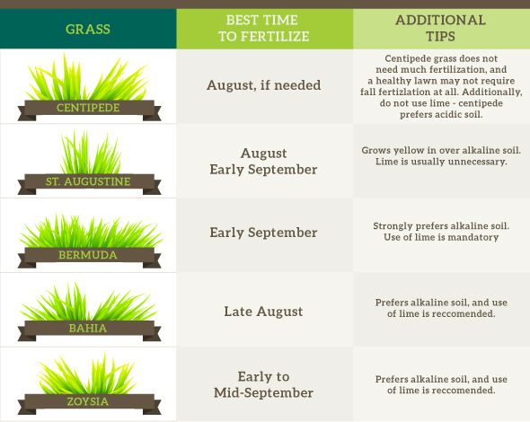 Fall Lawn Care Guide