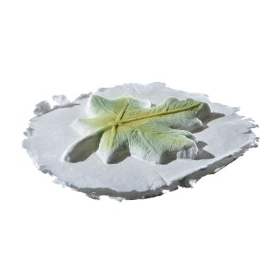 Leaf Token Biodegradable Batesville