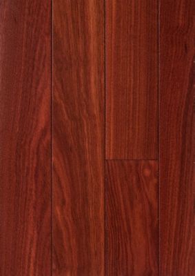 3/4" x 31/4" Bloodwood BELLAWOOD Lumber Liquidators