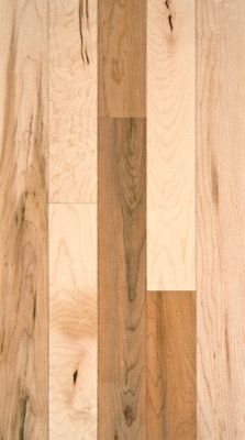 BELLAWOOD 3/4" x 21/4" Rustic Maple Lumber Liquidators