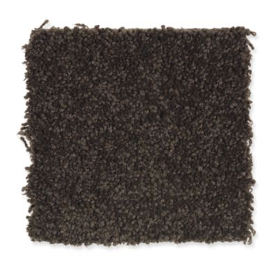 Chocolate Brown Carpet Tiles Carpet Vidalondon