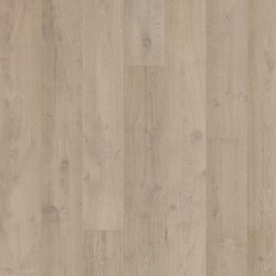 Chateau Leon, Cathedral Taupe Oak, Wood Karastan