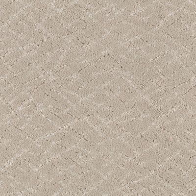 Black Carpet Grey Carpet Carpet Colors Carpet Stores Rite Rug