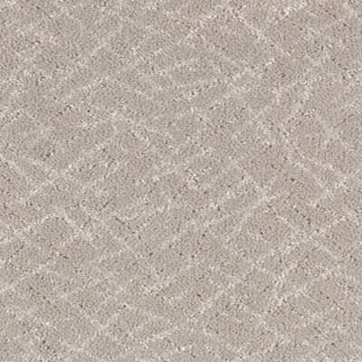 Black Carpet Grey Carpet Carpet Colors Carpet Stores Rite Rug