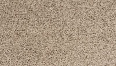 Mohawk Industries Reward Weeping Willow Carpet Wixom