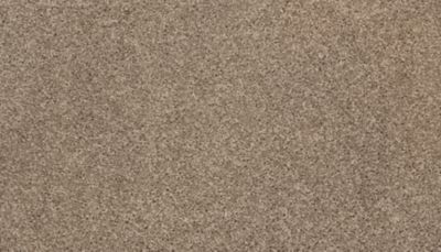 Mohawk Industries Reward Embers Carpet Wixom, Michigan