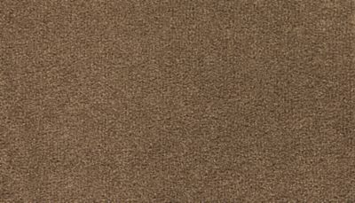Mohawk Industries Stylish Story I Wrangler Carpet Huntsville