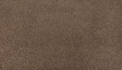 Mohawk Industries Stylish Story I Rocky Ridge Carpet Huntsville