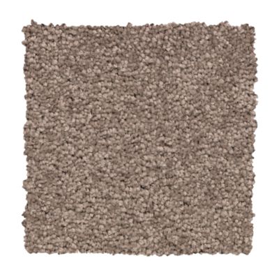 Mohawk Industries Vivid Instinct Mesquite Chip Carpet Columbia, MD A Plus Carpet and Flooring