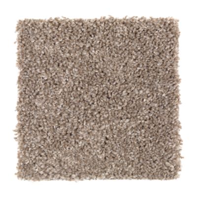 Mohawk Industries Tonal Allure Woodstained Carpet Huntsville