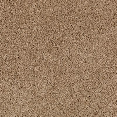 Mohawk Industries Tender Moment Brown Sugar Carpet Portland, Oregon