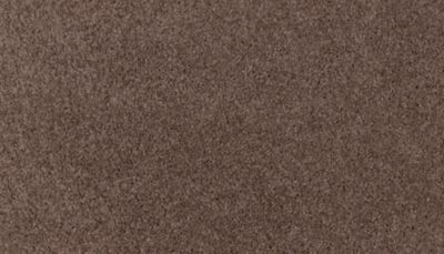 Mohawk Industries Natural Decoration Apricot Butter Carpet Milwaukee