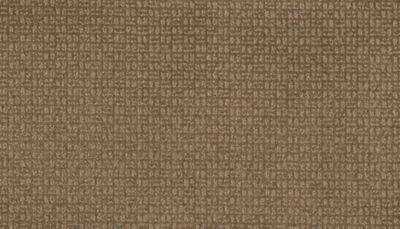 Carpet Mansfield Anselone Flooring