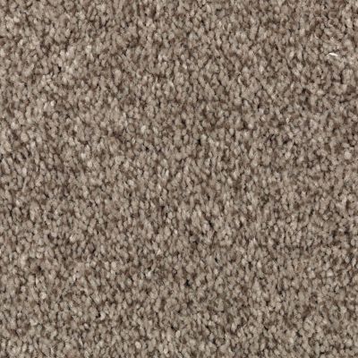 Mohawk Industries Tonal Chic II Taupe Illusion Carpet Calgary, Alberta After Eight Interiors