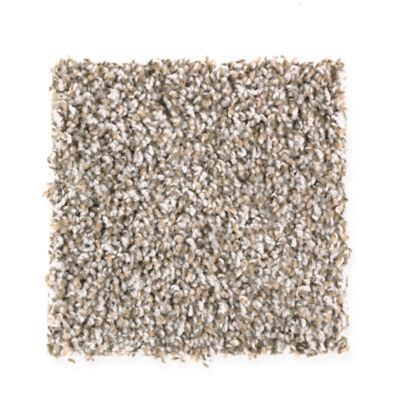 Mohawk Industries Trailblazer First Frost Carpet Richmond