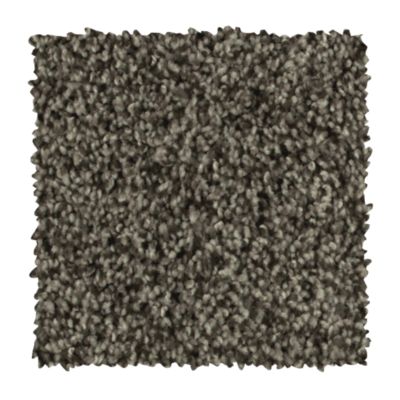 Carpet Albany Discount Flooring