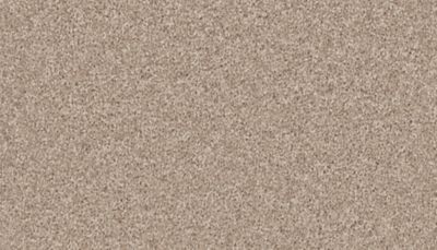 Exceptional Choice Montego by Mohawk Industries Cedar Grove, WI