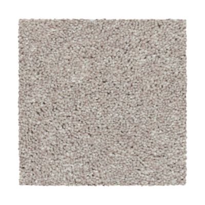 Carpet Albany Discount Flooring