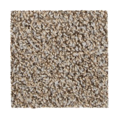 Springville Iron Side by Mohawk Industries the USA National Floors