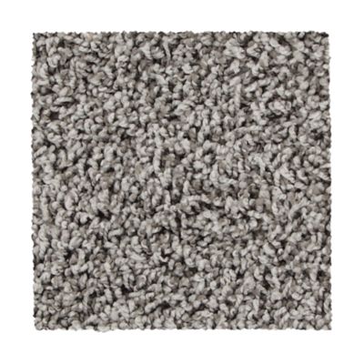 Mohawk Industries Admiration Greige Tint Carpet Holly