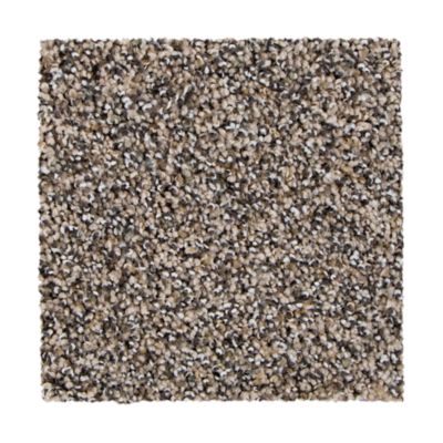 Mohawk Industries Upscale Appeal Cedar Carpet Kansas City, Carpet