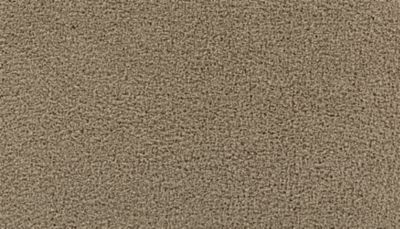 Gentle Path Peanut Shell by Mohawk Industries Northwest, OH Carpet