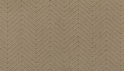 Extravagant Appeal Warmest Beige by Karastan Lexington, KY Kevins