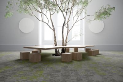 Lichen Community Carpet Tile Collection Mohawk Group