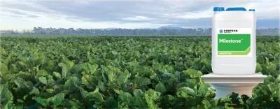 The Future of Agriculture Corteva Agriscience