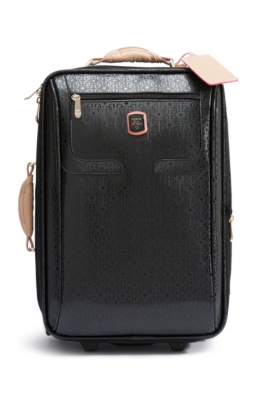 Frosted 20” Roller Suitcase