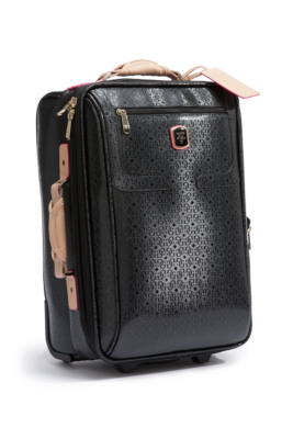 Frosted 20” Roller Suitcase