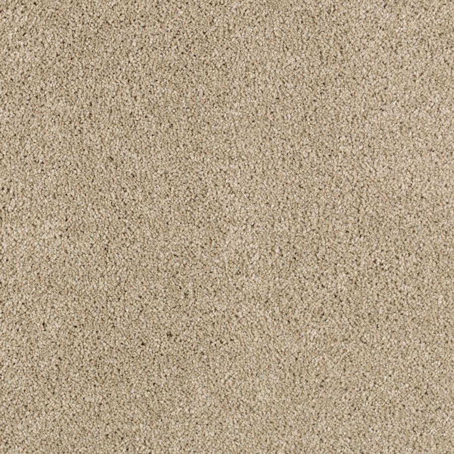 Mohawk Industries Delicate Finesse Sisal Carpet Dallas Texas C